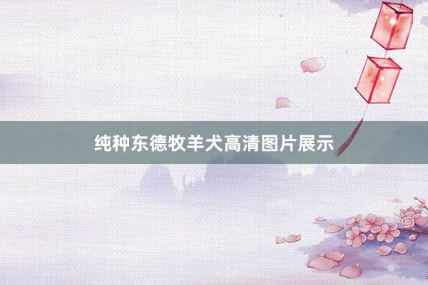 纯种东德牧羊犬高清图片展示