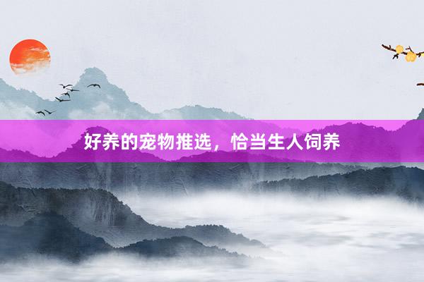 好养的宠物推选，恰当生人饲养